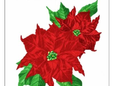Banner: 4' x 3'  "Poinsettias": BANN029