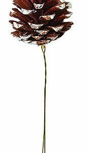 Pick - Pine Cone: White Tip, 2" - 3" PINE003
