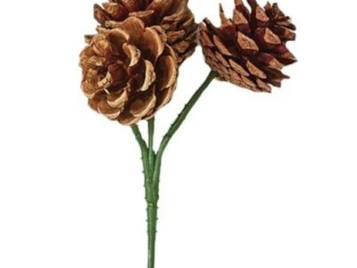 Pick - Pine Cone: Natural  1.75"