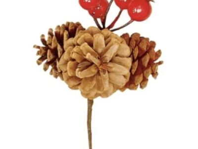 Pick - Pine Cone: Natural Berry 3"