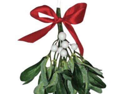 Mistletoe, Silk: MIST012