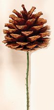 WREATH EMBELLISHMENTS (Pine Cones,Picks,Bows, Ribbon)