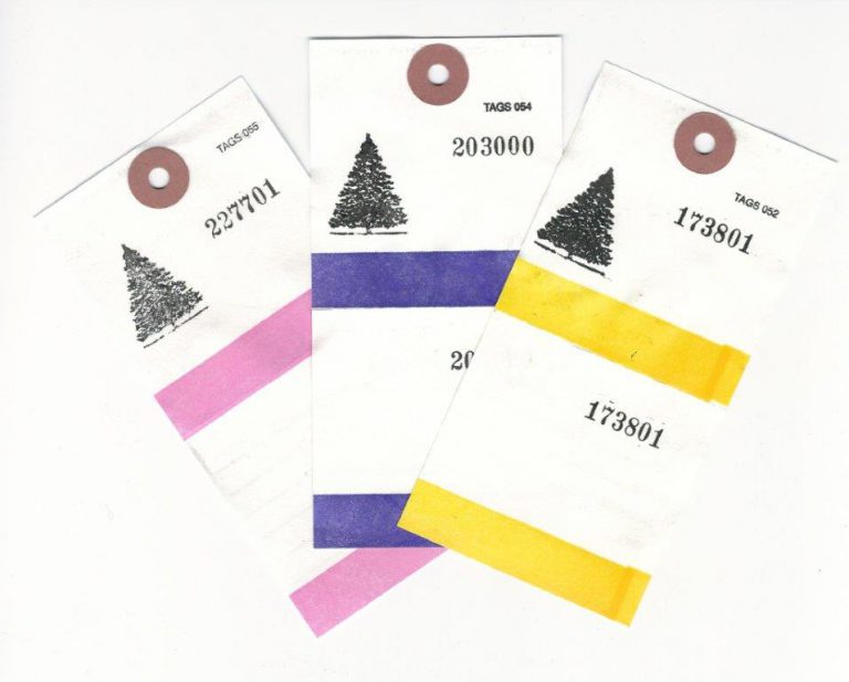 tags-2-part-color-coded-tyvek-100-pk-tags050a-evans-christmas-supply