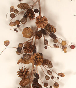 Garland - Mixed Cone & Pod, 4/Case: GARL009