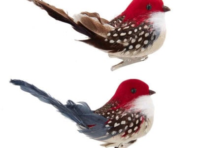 Ornaments - Feather Bird, 12/Assorted: ORNA003