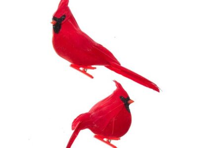Ornaments: Velvet Cardinal, 12/Assorted